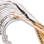 marks detail, Vintage 1950s Sterlé Feather Brooch