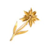 gold back of Edelweiss flower brooch